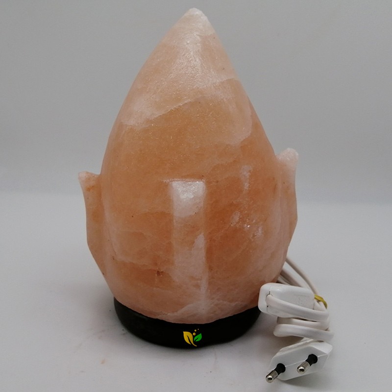 LÁMPARA LLAMA DE SAL NATURAL ENCHUFE LÁMPARA LLAMA DE SAL NATURAL ENCHUFE