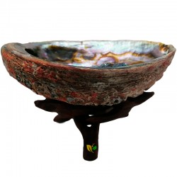 SOPORTE DE MADERA PARA CONCHA DE AVALON VARIOS TAMAÑOS