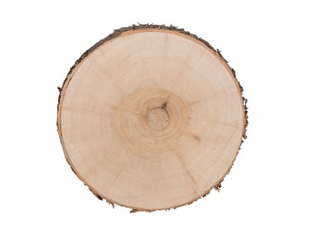 Rodaja de Madera 15 cm